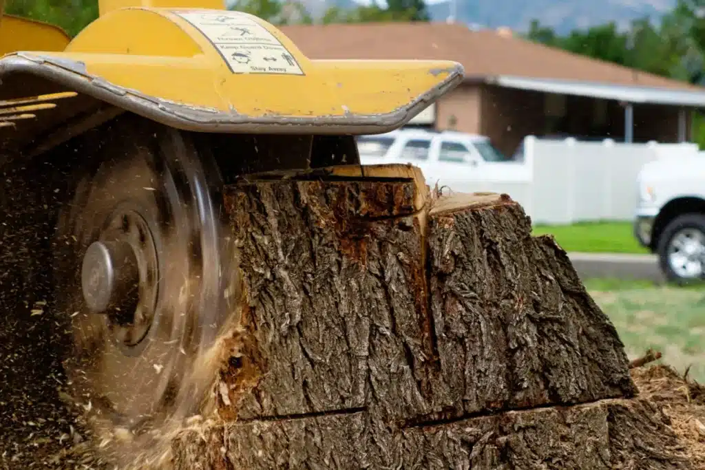 stump Grinding