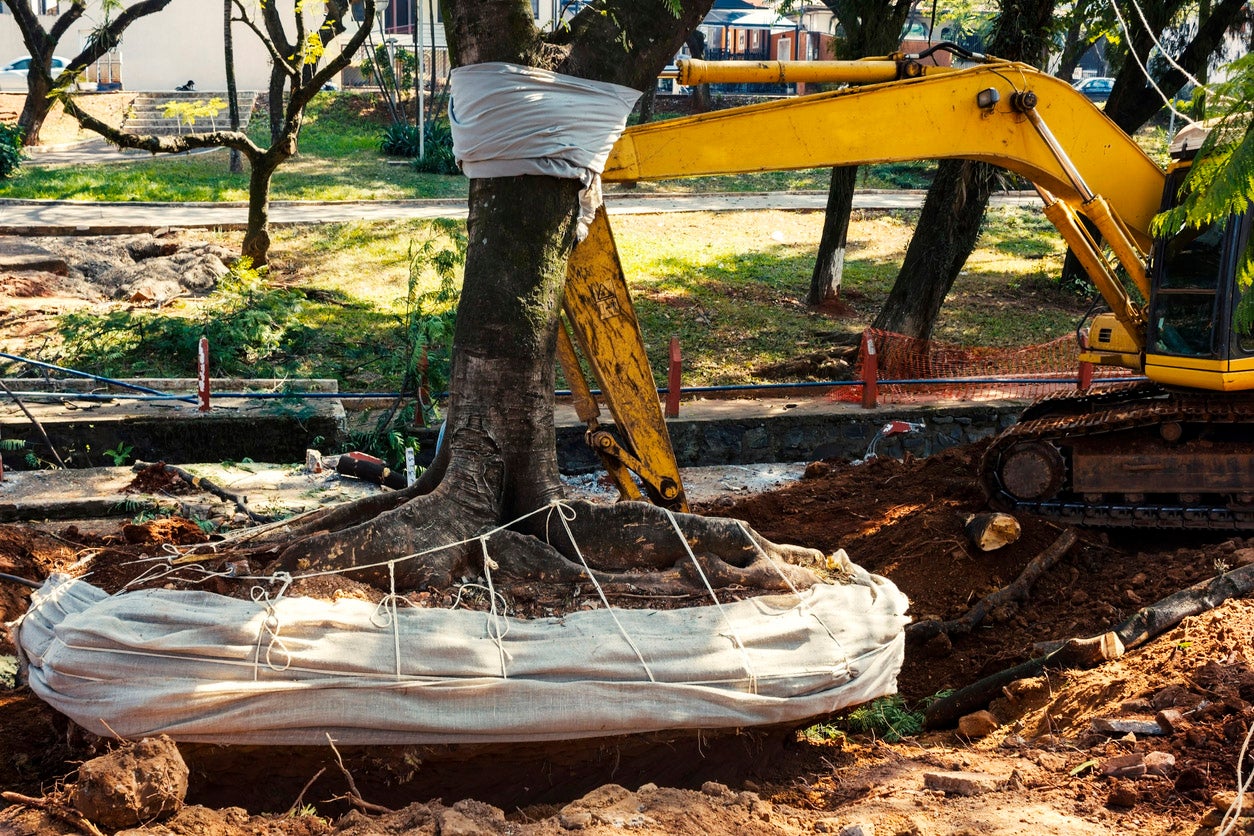 How Long Does It Take to Grind a Stump